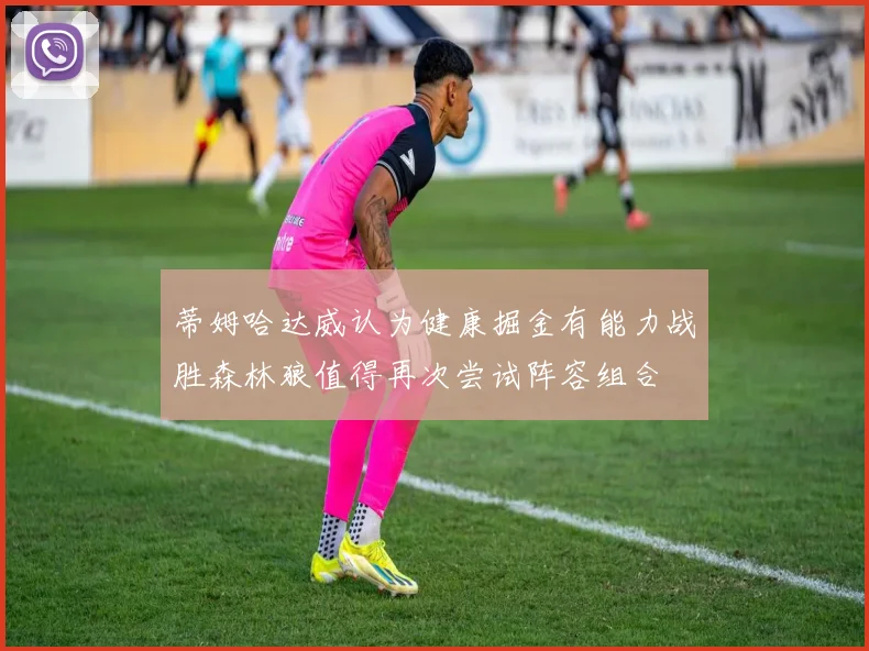蒂姆哈达威认为健康掘金有能力战胜森林狼值得再次尝试阵容组合